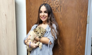 Bakı Zooparkında şir balası dünyaya gəlib