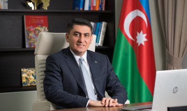 "Paşa Həyat"ın rəhbəri ötən ilin çətinliklərindən danışıb