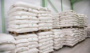 Unun qiyməti qalxıb?