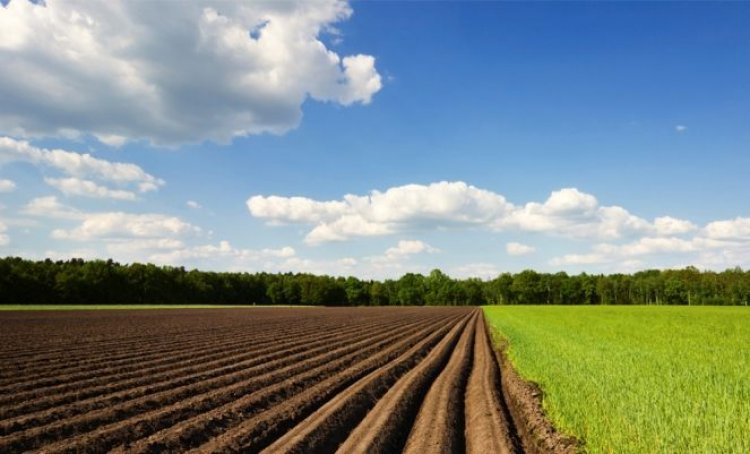 Pay torpaqları ilə bağlı QƏRAR