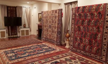 "Azərxalça" auditor seçib