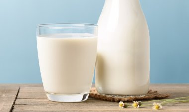 Süd bazarında nə baş verir?