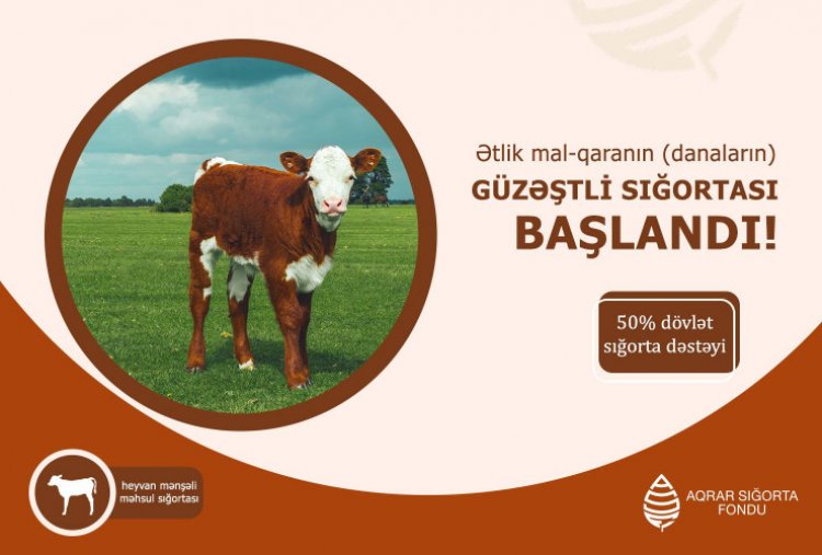 Danaların güzəştli sığortası başlayıb