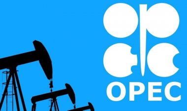 Bu gün OPEC-in yeni baş katibi seçilə bilər