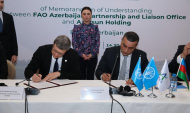 “Azərsun Holdinq” əlaqələrini genişləndirir