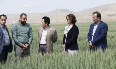 FAO Baş Katibi Agro Dairy MMC-nin sahələrinə baxıb