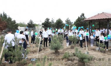 Heydər Əliyevin doğum günü münasibəti ilə ağacəkmə aksiyası keçirilib