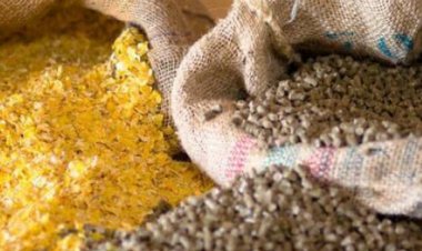 Heyvan yemləri gömrük rüsumundan azad olunub