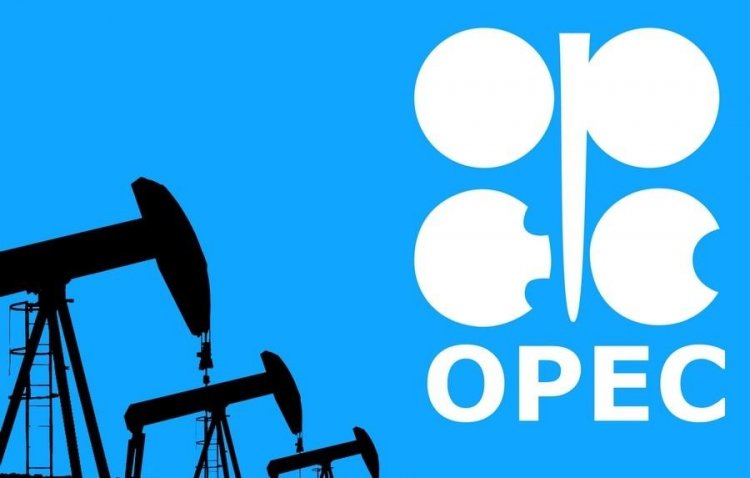 Bu gün OPEC-in yeni baş katibi seçilə bilər