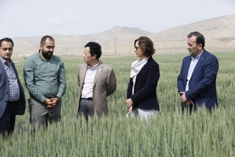 FAO Baş Katibi Agro Dairy MMC-nin sahələrinə baxıb