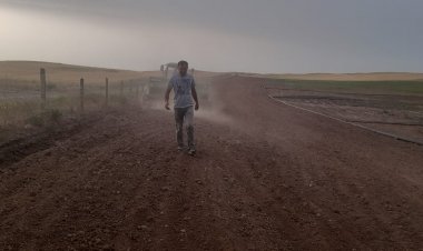 Kinoa və yem bikilərinin əkini həyata keçirilib