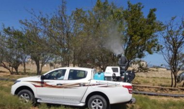 Amerika ağ kəpənəyinə qarşı mübarizə aparılır