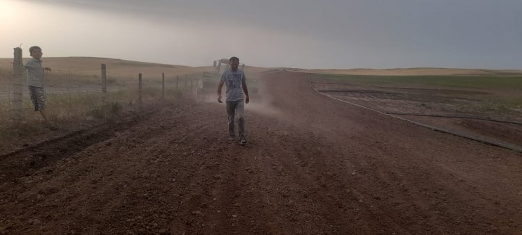 Kinoa və yem bikilərinin əkini həyata keçirilib