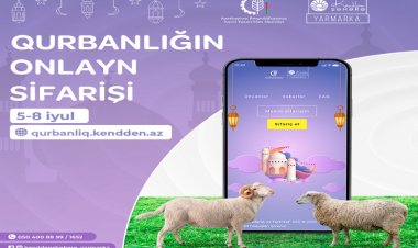 Qurbanlıq qoyunların onlayn satışı olacaq