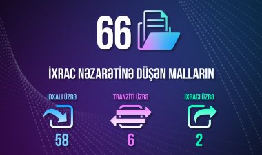 Energetika Nazirliyi tərəfindən 66 icazə verilib