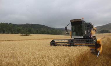 Fond fermerlərə çağırış etdi