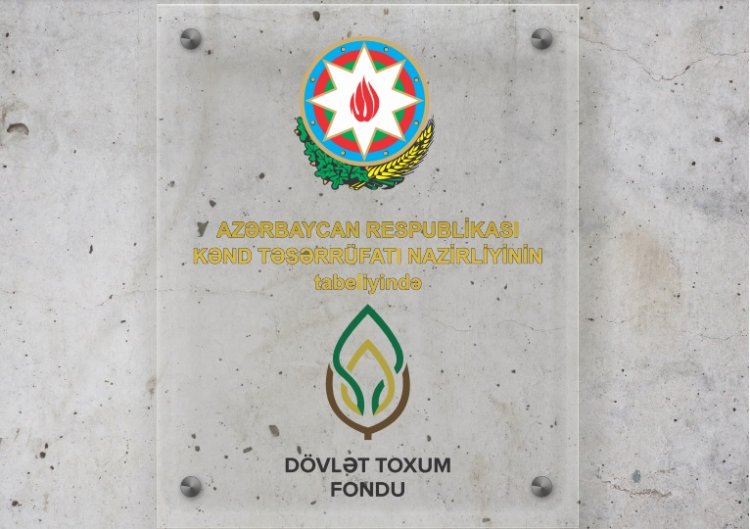 Yüksək məhsul əldə edilib