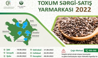 Toxum sərgi- satış yarmarkaları keçiriləcək