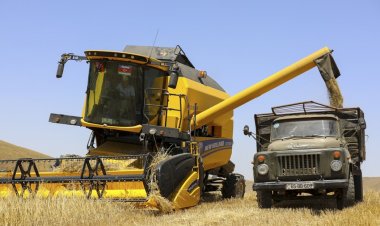 Azərbaycana 41 min tondan çox taxıl tədarük edilib