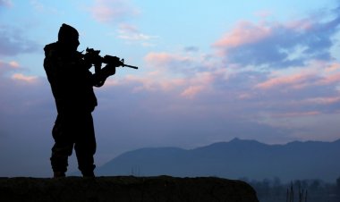 Sentyabrdan ov mövsümü açıla bilər