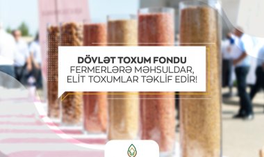 Fermerlərin NƏZƏRİNƏ!