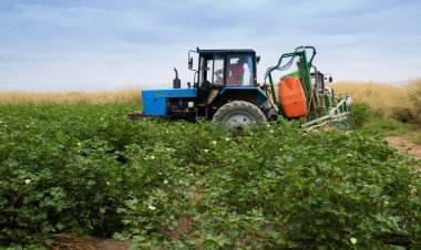 Azərbaycanda kənd təsərrüfatı xərcləri artırılır