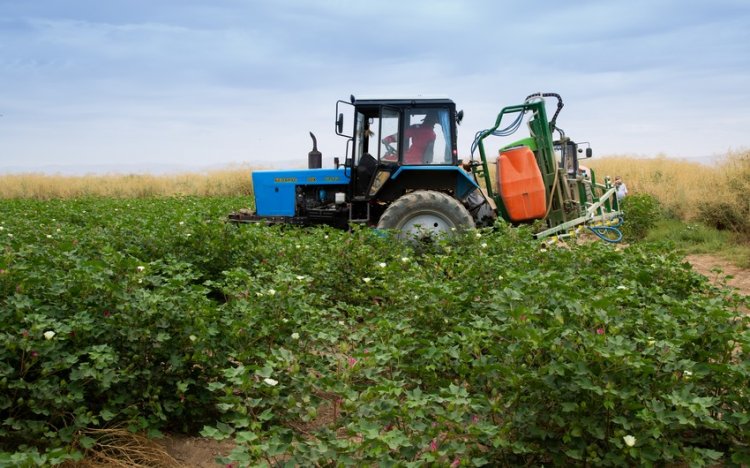 Azərbaycanda kənd təsərrüfatı xərcləri artırılır