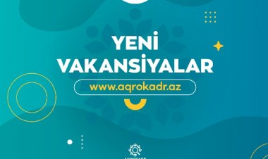 Kənd Təsərrüfatı Nazirliyi işçi axtarır