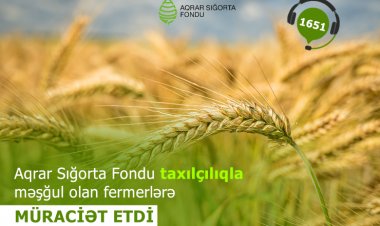 Aqrar Sığorta Fondu fermerlərə müraciət edib