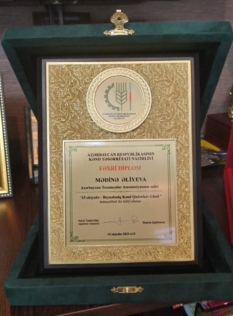 Mədinə Əliyeva nazirlik tərəfindən təltif edilib