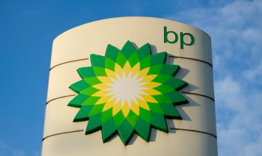 Mühüm biznes xidmətləri üzrə müqavilə yerli şirkətə verildi