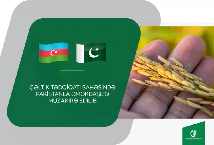 Çəltik tədqiqatı sahəsində Pakistanla əməkdaşlıq