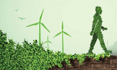 Azərbaycanda nazirlik monitorinqlərə başlacaq