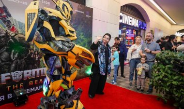 CinemaPlusda yay mövsümü açıldı