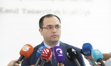 Məcnun Məmmədov aqrar sığorta ilə bağlı çağırış edib