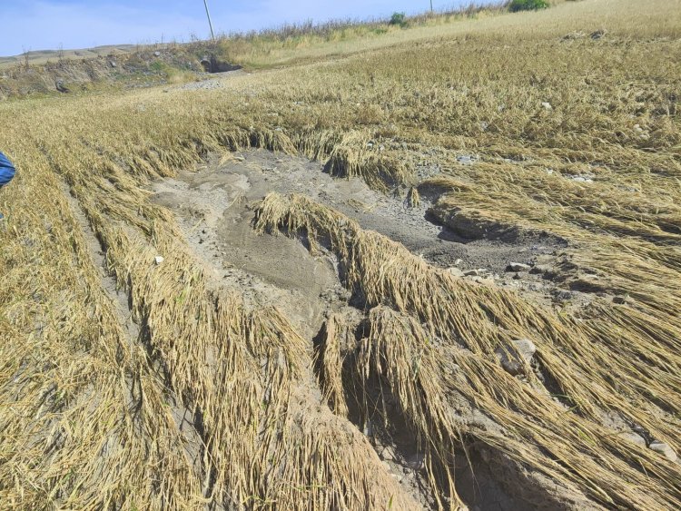 Aqrar Sığorta Fondu fermerlərə müraciət etdi