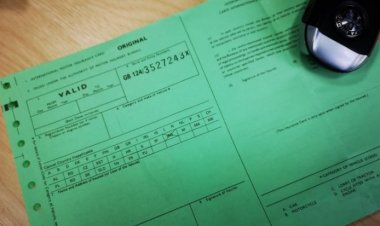 İki sığorta şirkətinin "Yaşıl Kart" üzrə fəaliyyəti dayandırılıb