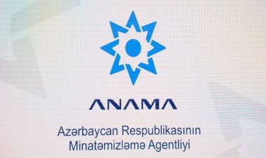 ANAMA-ya Aparat rəhbəri təyin edildi