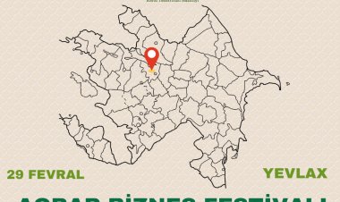 Yevlaxda Aqrar Biznes Festivalı keçiriləcək