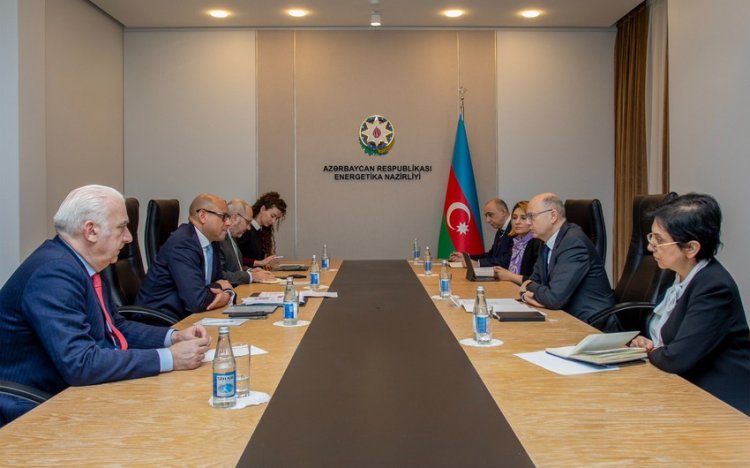 Energetika naziri BMT-nin İqlim Dəyişikləri üzrə Çərçivə Konvensiyasının icraçı katibi ilə görüşüb