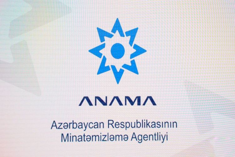 ANAMA-ya Aparat rəhbəri təyin edildi
