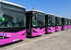Azərbaycanda gələn il bütün köhnə avtobuslar yenilənəcək