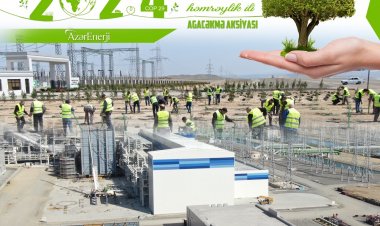 “AzərEnerji” yaşıllaşdırma və enerji effektivliyini paralel aparır