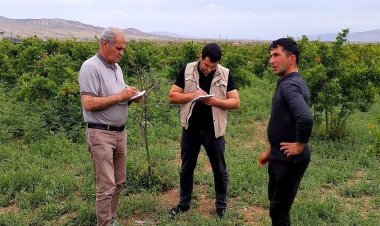 AgroStar tərəfindən əkin sahələrinə baxış keçirilir