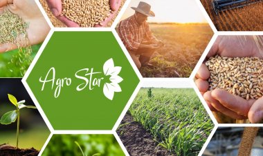 AqroStar taxıl istehsalçılarına müraciət edib