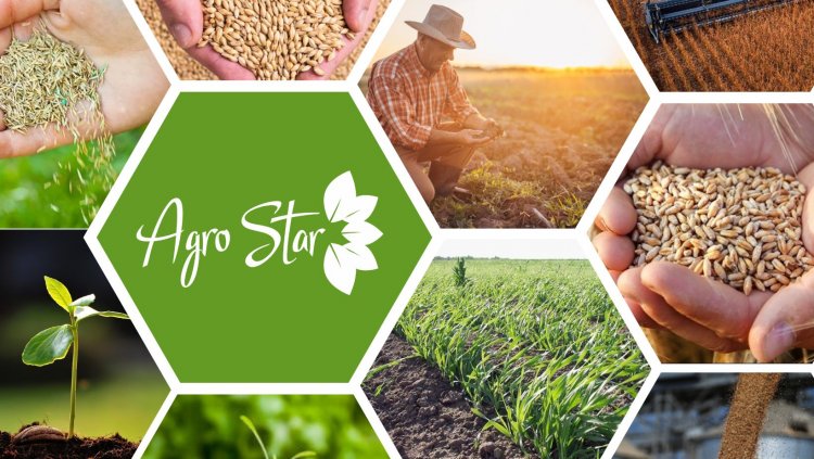 AqroStar taxıl istehsalçılarına müraciət edib