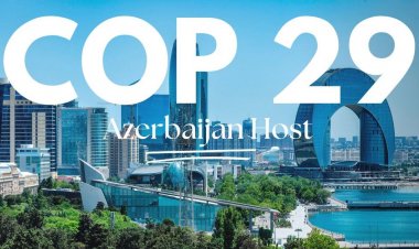 COP29 viza müraciət sistemi aktivləşdirilib