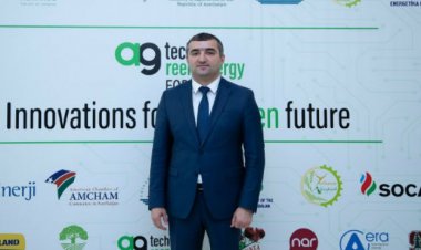 Məcnun Məmmədov daha bir vəzifəli şəxsi vəzifəsindən azad etdi