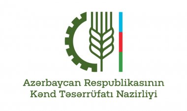 Kənd Təsərrüfatı Nazirliyində nöqsanlar