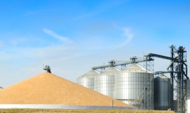 AgroStar bazara məhsuldar taxıl toxumu təqdim edib